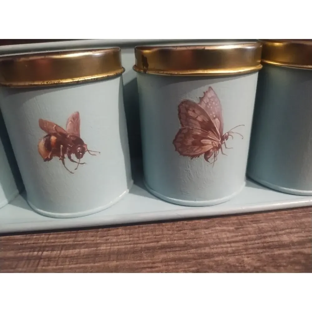 5 Small Tin Kitchen Canisters Lids Blue Bug Butterfly 3